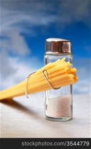 funny cutlery salt shaker with pasta