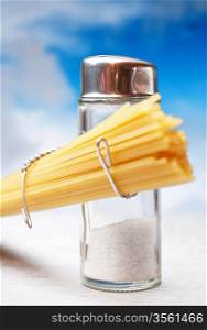 funny cutlery salt shaker with pasta