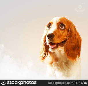 Funny dog portrait