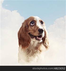 Funny dog portrait. Funny dog portrait on a light background. Collage.