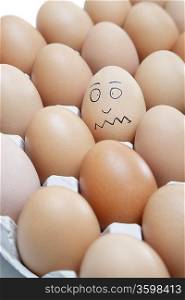 Funny face drawn on an egg surrounded by plain brown eggs in carton