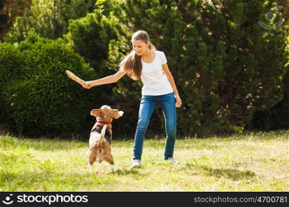Funny girl throwing stick for active beagle dog in the park. Girl plays with a dog in the yard