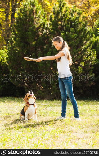 Funny girl throwing stick for active beagle dog in the park. Girl plays with a dog in the yard