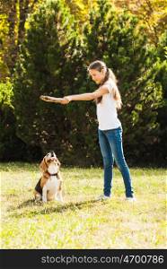 Funny girl throwing stick for active beagle dog in the park. Girl plays with a dog in the yard