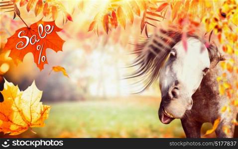 Funny horse face with autumn foliage, falling leaves and text Sale, banner