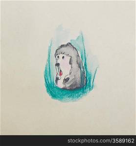 funny illustration of hedgehog, a children&acute;s drawing water color