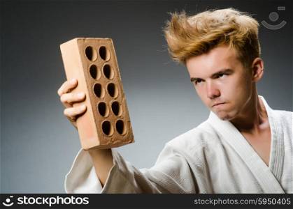 Funny karate fighter with clay brick