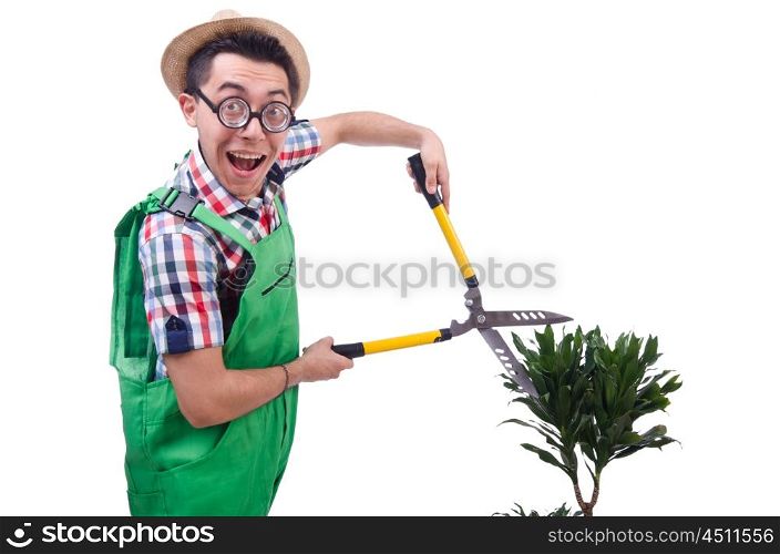 Funny man trimming plans in his garden