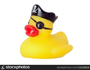 Funny pirate duck isolated on a over white background