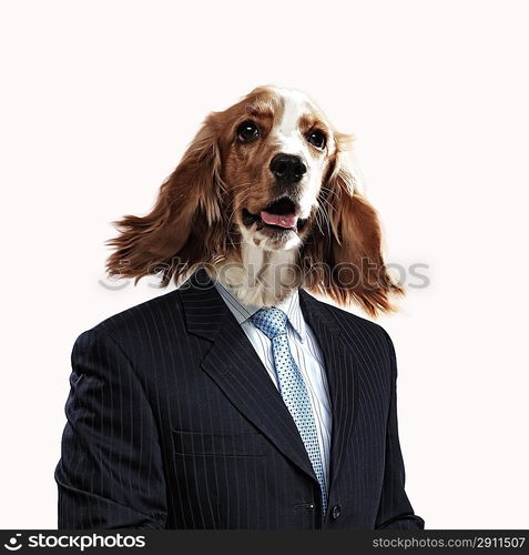 Funny portrait of a dog in a suit