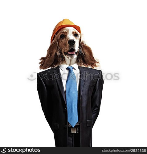 Funny portrait of a dog in a suit