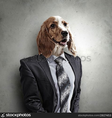 Funny portrait of a dog in a suit