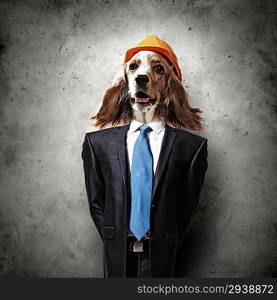 Funny portrait of a dog in a suit