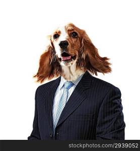 Funny portrait of a dog in a suit