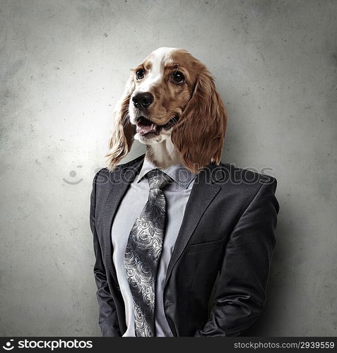 Funny portrait of a dog in a suit