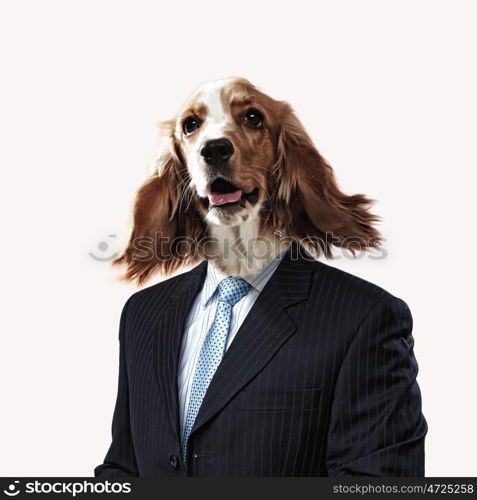 Funny portrait of a dog in a suit. Funny portrait of a dog in a suit on an abstract background. Collage.