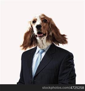 Funny portrait of a dog in a suit. Funny portrait of a dog in a suit on an abstract background. Collage.