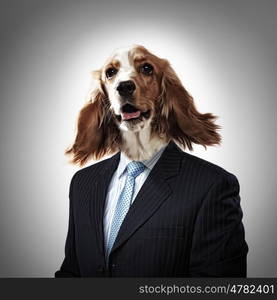 Funny portrait of a dog in a suit. Funny portrait of a dog in a suit on an abstract background. Collage.