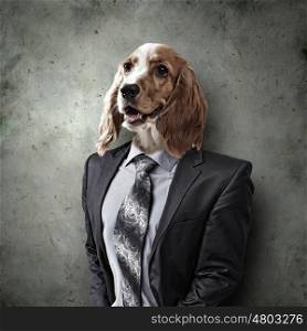 Funny portrait of a dog in a suit. Funny portrait of a dog in a suit on an abstract background. Collage.