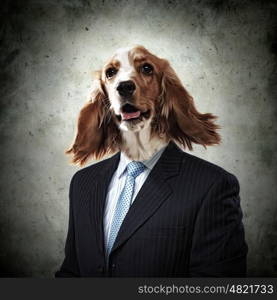 Funny portrait of a dog in a suit. Funny portrait of a dog in a suit on an abstract background. Collage.