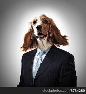 Funny portrait of a dog in a suit