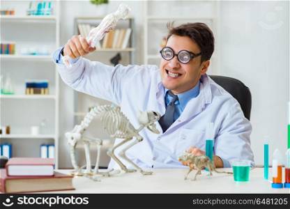 Funny scientist with cat skeleton in lab clinic