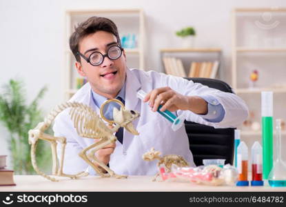 Funny scientist with cat skeleton in lab clinic