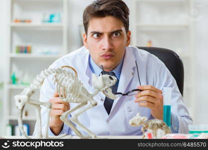 Funny scientist with cat skeleton in lab clinic