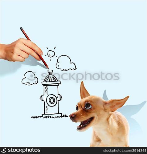 Funny spaniel dog