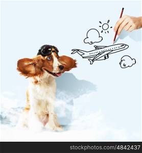 Funny spaniel dog. Image of funny spaniel dog in pilot helmet