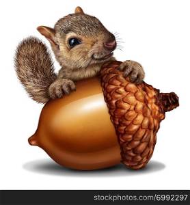 Funny squirrel holding a giant acorn tree nut as a wealth or wealthy metaphor for business and financial savings in a 3D illustration style.