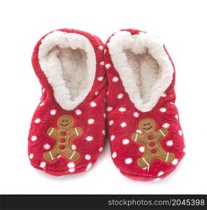 fur-lined slippers in front of white background