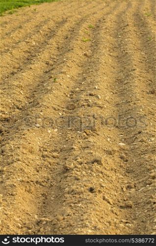 furrows on the field for cultivating plants