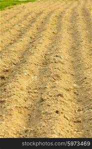 furrows on the field for cultivating plants. furrows on the field