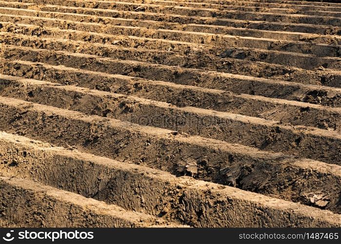 Furrows row pattern in a plowed field prepared for planting crops in spring. Closeup of field. Furrows row pattern in a plowed field prepared for planting crops in spring.