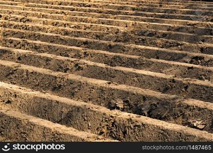Furrows row pattern in a plowed field prepared for planting crops in spring. Closeup of field. Furrows row pattern in a plowed field prepared for planting crops in spring.