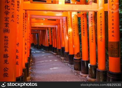Fushimi Inari Taisha torii shrine, Kyoto, Japan. Fushimi Inari Taisha torii, Kyoto, Japan