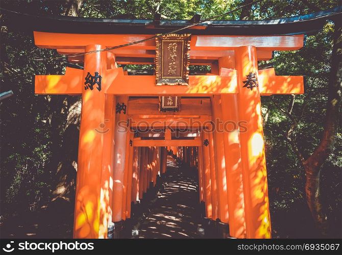 Fushimi Inari Taisha torii shrine, Kyoto, Japan. Fushimi Inari Taisha torii, Kyoto, Japan
