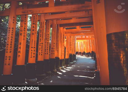 Fushimi Inari Taisha torii shrine, Kyoto, Japan. Fushimi Inari Taisha torii, Kyoto, Japan