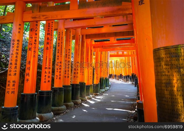 Fushimi Inari Taisha torii shrine, Kyoto, Japan. Fushimi Inari Taisha torii, Kyoto, Japan. Fushimi Inari Taisha torii, Kyoto, Japan
