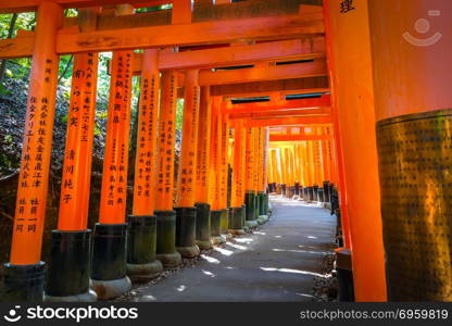 Fushimi Inari Taisha torii shrine, Kyoto, Japan. Fushimi Inari Taisha torii, Kyoto, Japan. Fushimi Inari Taisha torii, Kyoto, Japan