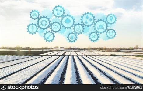 Futuristic innovative technology pictogram on a plantation fields covered with spunbond agrofibre. Agricultural startups, improvements, digitalization agriculture industry. Innovation and development