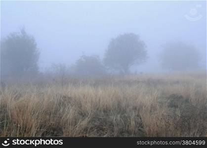 Fuzzy image of the foggy rural landscape in the fall in Bulgaria