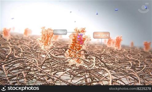G-protein-coupled receptors (GPCRs) are the largest and most diverse group of membrane receptors in eukaryotes. 3D illustration. 3D Microbiology Medical of G Protein Coupled Receptors