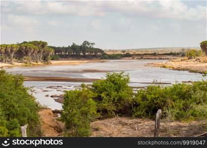 Galana River, Tsavo East National Park, Kenya, East Africa, Africa