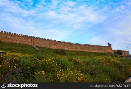 Galisteo fortress in Caceres of Extremadura Spain by the Via de la Plata way