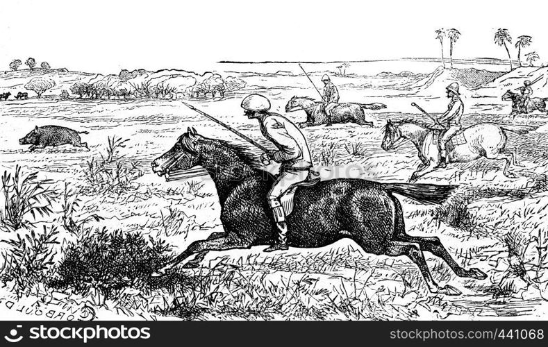 Gallop, vintage engraved illustration. Journal des Voyage, Travel Journal, (1880-81).