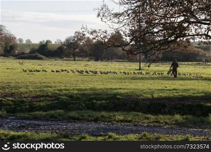 Game keeper out with his ducks