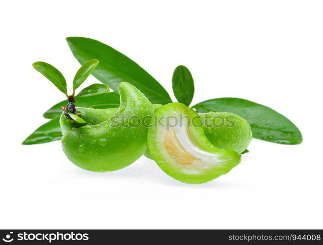 Garcinia schomburgkiana Pierre With drops of water on white background