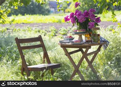 garden and tea party at the country style. still life - donuts, dishes and a vase with pink peonies 